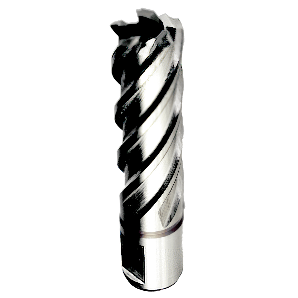 HSS-CO Kernbohrer ø 19 x 55 mm - Weldon 19