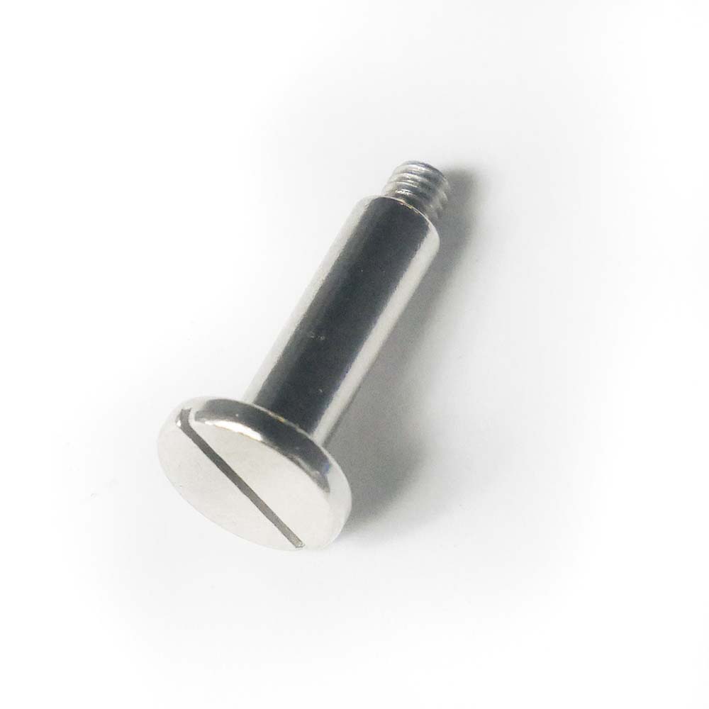 SELECTOR SCREW