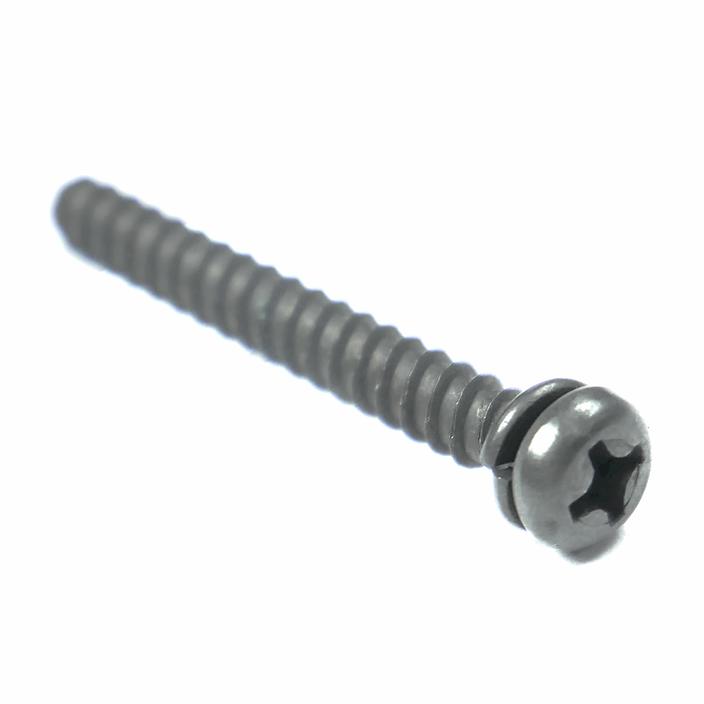 SCREW W/WASHER